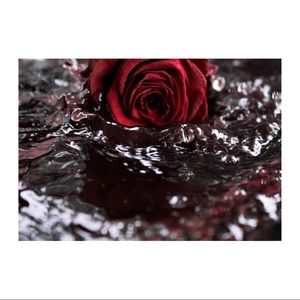 Rose Photo Print (big)